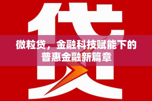 修水微粒贷，金融科技赋能下的普惠金融新篇章