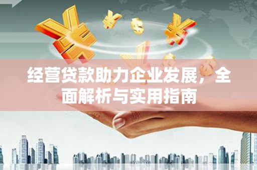 瑞芳经营贷款助力企业发展，全面解析与实用指南