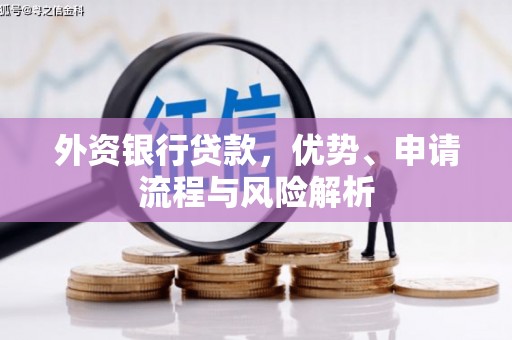 曲麻莱外资银行贷款，优势、申请流程与风险解析