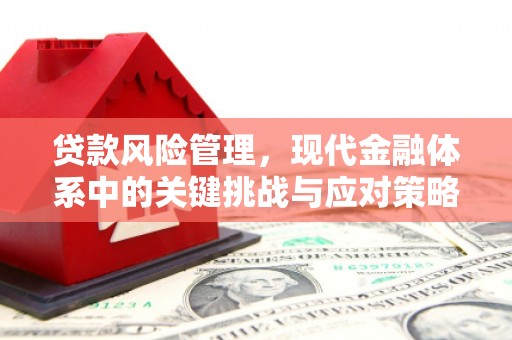 郸城贷款风险管理，现代金融体系中的关键挑战与应对策略