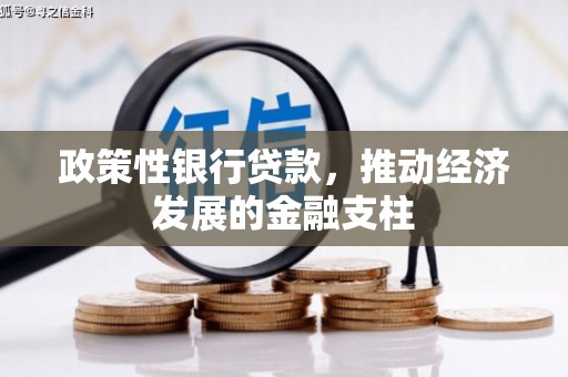 濮阳政策性银行贷款，推动经济发展的金融支柱