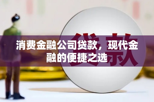 友谊消费金融公司贷款，现代金融的便捷之选