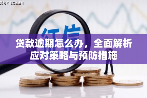 金坛贷款逾期怎么办，全面解析应对策略与预防措施