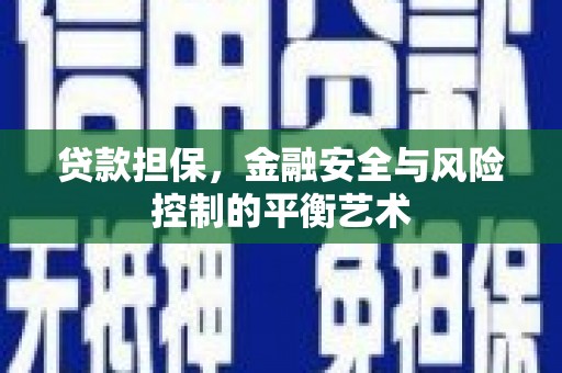 定兴贷款担保，金融安全与风险控制的平衡艺术