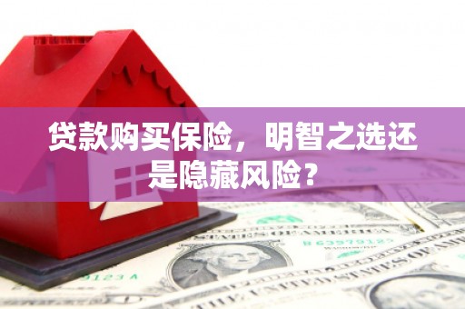 西华贷款购买保险，明智之选还是隐藏风险？