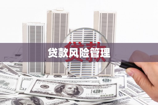 东至贷款风险管理