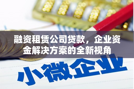 阜康融资租赁公司贷款，企业资金解决方案的全新视角