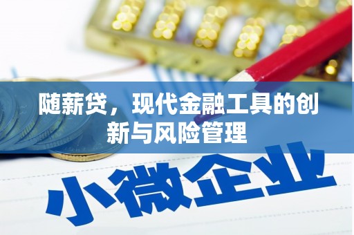 镇安随薪贷，现代金融工具的创新与风险管理