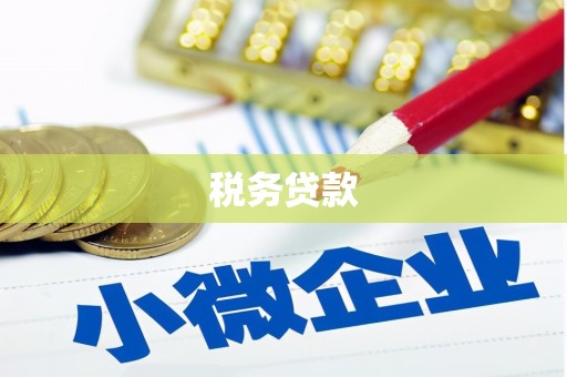 玉田税务贷款