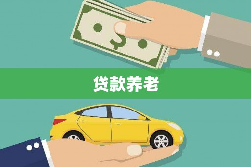 华龙贷款养老