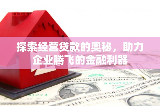普格探索经营贷款的奥秘，助力企业腾飞的金融利器