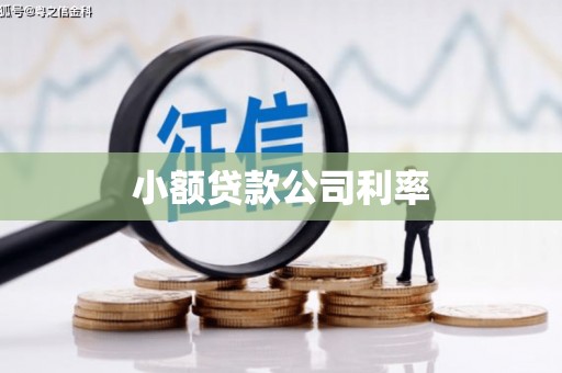 广汉小额贷款公司利率