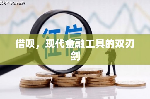 清河借呗，现代金融工具的双刃剑