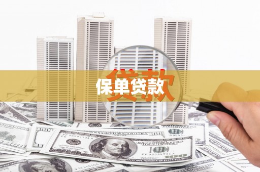 邵阳县保单贷款