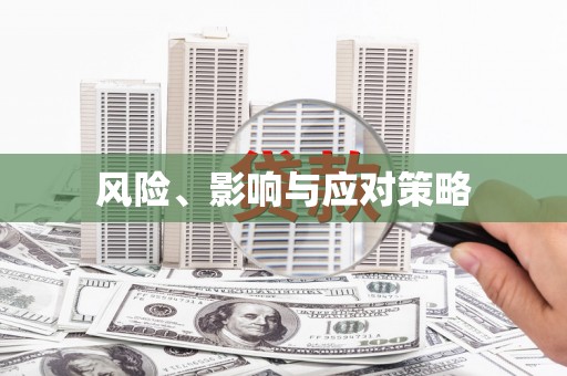 滨州风险、影响与应对策略