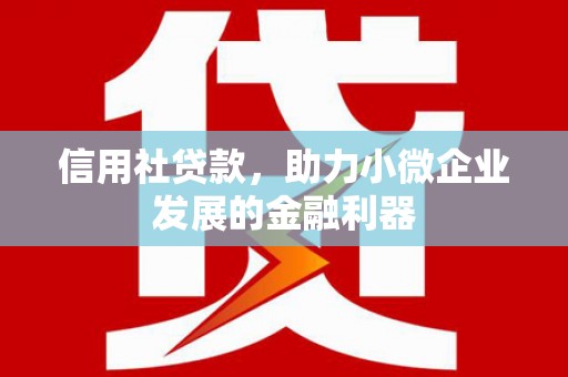 德令哈信用社贷款，助力小微企业发展的金融利器