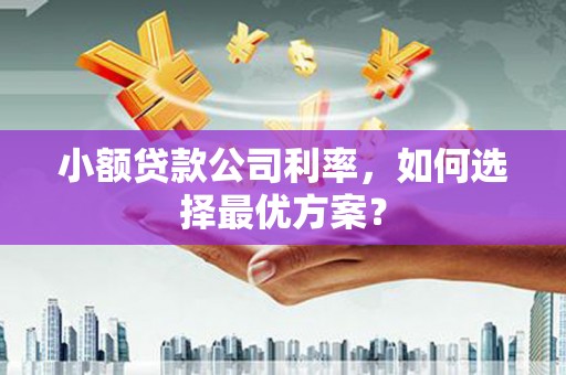 秀林小额贷款公司利率，如何选择最优方案？