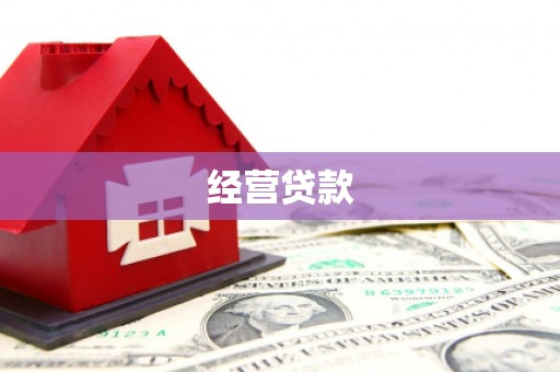武进经营贷款