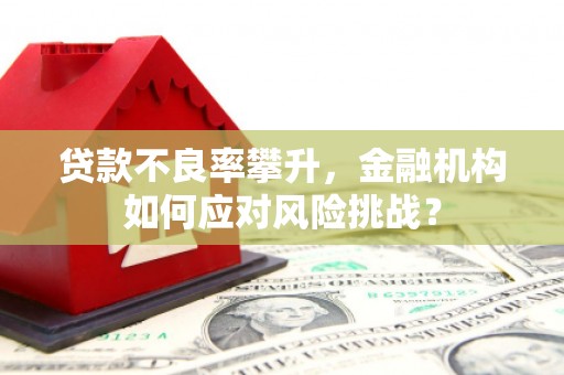 金昌贷款不良率攀升，金融机构如何应对风险挑战？