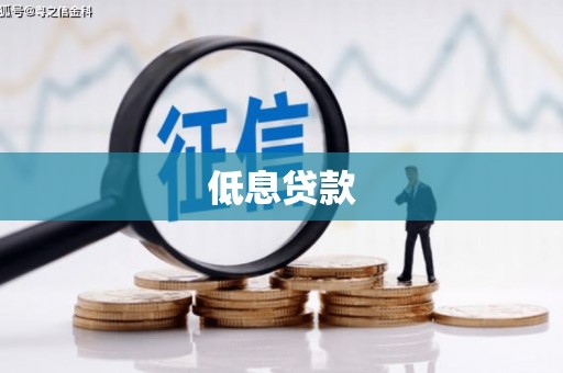 霍山低息贷款