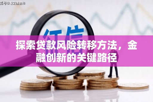 大朗探索贷款风险转移方法，金融创新的关键路径