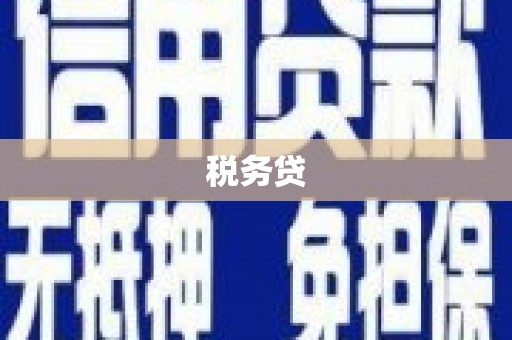 白银税务贷