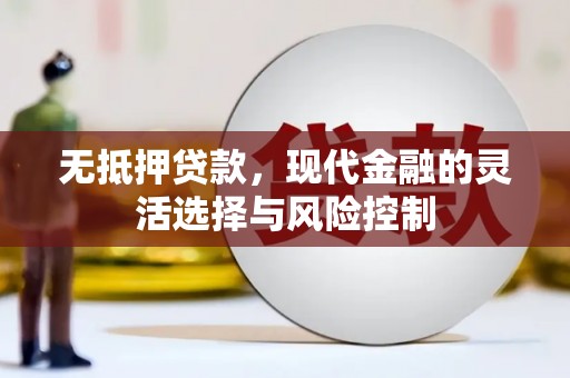边坝无抵押贷款，现代金融的灵活选择与风险控制