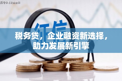 中西区税务贷，企业融资新选择，助力发展新引擎