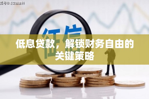金普新区低息贷款，解锁财务自由的关键策略