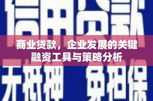 墨江商业贷款，企业发展的关键融资工具与策略分析