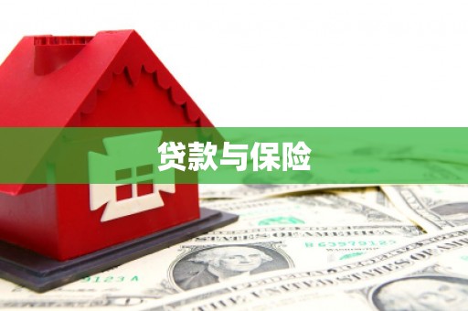 通城贷款与保险