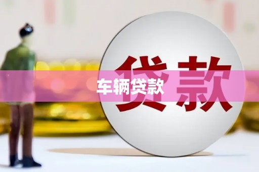 金东车辆贷款