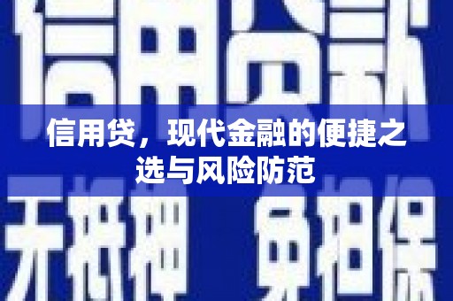 玉井信用贷，现代金融的便捷之选与风险防范