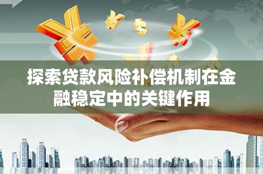 双河探索贷款风险补偿机制在金融稳定中的关键作用