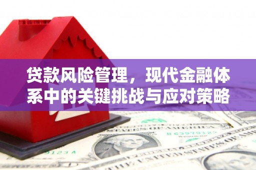 外埔贷款风险管理，现代金融体系中的关键挑战与应对策略