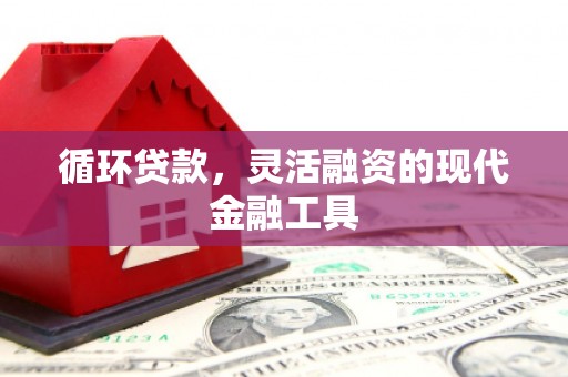 召陵循环贷款，灵活融资的现代金融工具