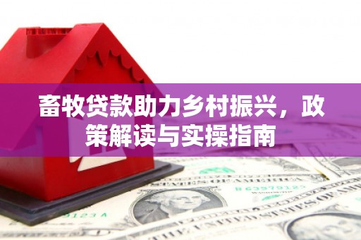 灵石畜牧贷款助力乡村振兴，政策解读与实操指南