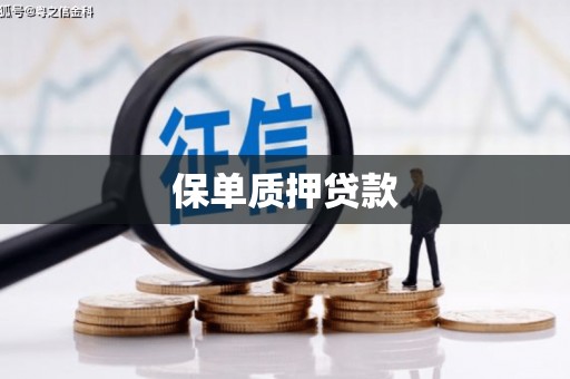 北斗保单质押贷款