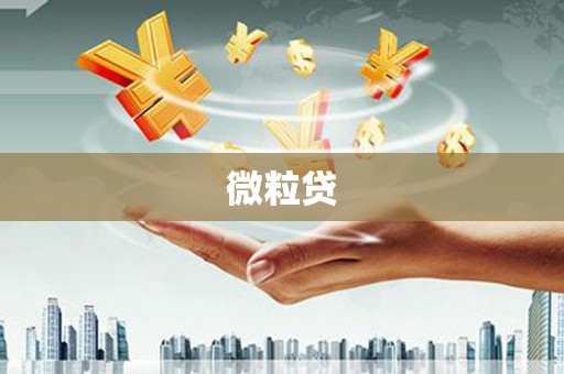 丰县微粒贷