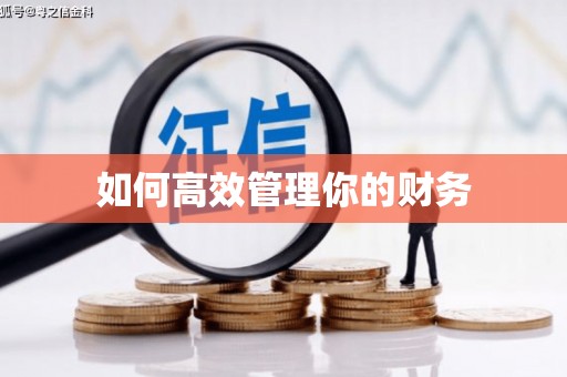 绿岛如何高效管理你的财务