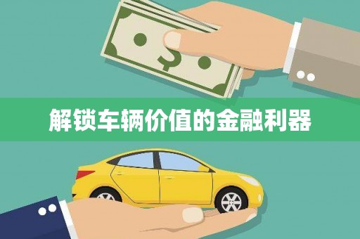 沙洋解锁车辆价值的金融利器