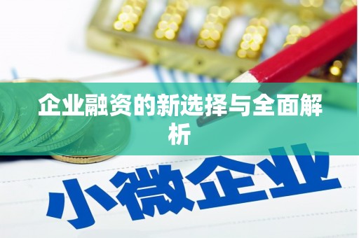 屯门企业融资的新选择与全面解析